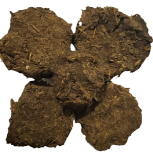 Cow dung cakes